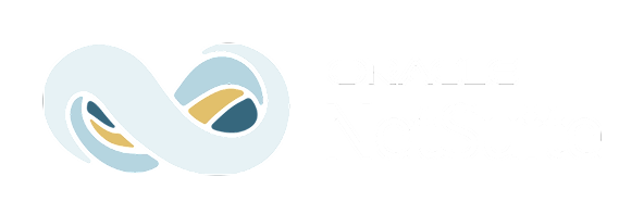NetSuite Oracle