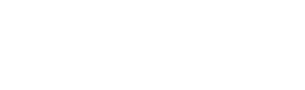 NetSuite Fusion